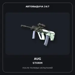 AUG | Storm | Field-Tested
