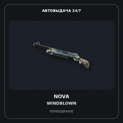 Nova | Windblown | Well-Worn