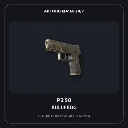 P250 | Bullfrog | Field-Tested