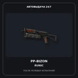 PP-Bizon | Runic | Field-Tested