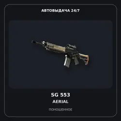 SG 553 | Aerial | Well-Worn