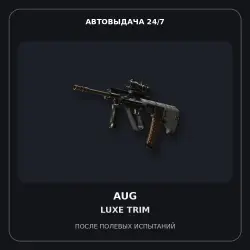 StatTrak AUG | Luxe Trim | Field-Tested