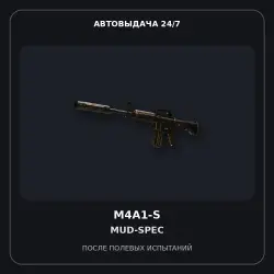 M4A1-S | Mud-Spec | Field-Tested