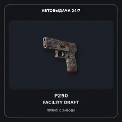 P250 | Facility Draft | Minimal Wear