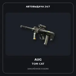 StatTrak AUG | Tom Cat | Battle-Scarred