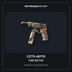 StatTrak CZ75-Auto | Circaetus | Поношенное