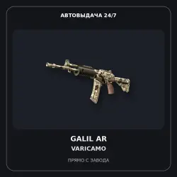 Galil AR | VariCamo | Factory New