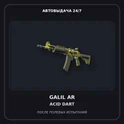 Galil AR | Acid Dart | Battle-Scarred