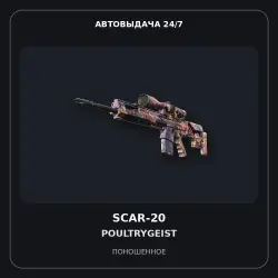 SCAR-20 | Poultrygeist | Well-Worn