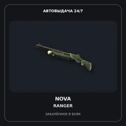 Nova | Ranger | Battle-Scarred