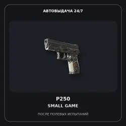 P250 | Small Game | Well-Worn