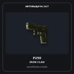 P250 | Iron Clad | Battle-Scarred