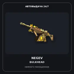 Souvenir Negev | Bulkhead | Field-Tested