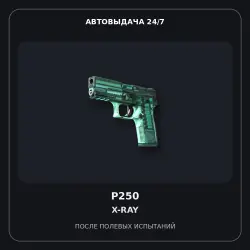 P250 | X-Ray | Field-Tested