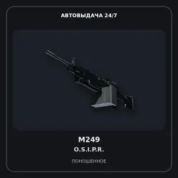 M249 | O.S.I.P.R. | Well-Worn