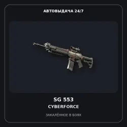SG 553 | Cyberforce | Battle-Scarred