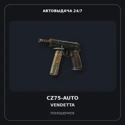 CZ75-Auto | Vendetta | Well-Worn