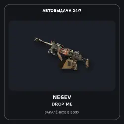 Negev | Drop Me | Battle-Scarred