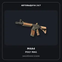 StatTrak M4A4 | Poly Mag | Battle-Scarred