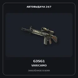 G3SG1 | VariCamo | Well-Worn