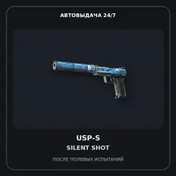 StatTrak USP-S | Silent Shot | Field-Tested