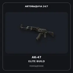AK-47 | Elite Build | Well-Worn