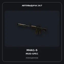 Souvenir M4A1-S | Mud-Spec | Well-Worn