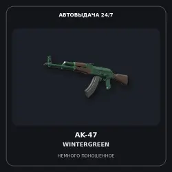 AK-47 | Wintergreen | Minimal Wear