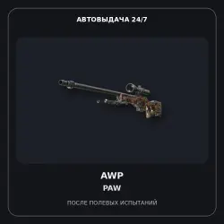 AWP | PAW | Field-Tested