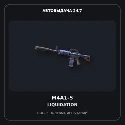 M4A1-S | Liquidation | После полевых испытаний