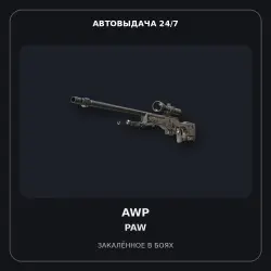 AWP | PAW | Battle-Scarred