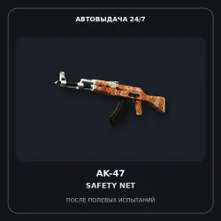 AK-47 | ty Net | Field-Tested