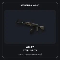 Souvenir AK-47 | Steel Delta | Field-Tested
