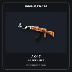 AK-47 | ty Net | Battle-Scarred