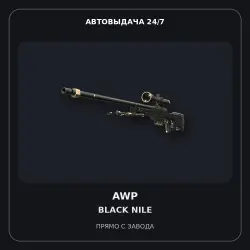 AWP | Black Nile | Well-Worn