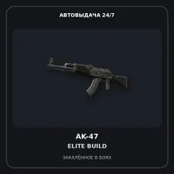 StatTrak AK-47 | Elite Build | Battle-Scarred