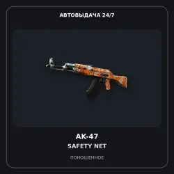 AK-47 | ty Net | Well-Worn