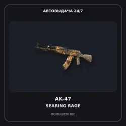 AK-47 | Searing Rage | Well-Worn