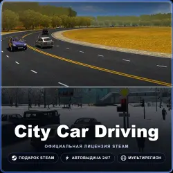 City Car Driving (Steam Gift) · РФ и весь мир · Автодоставка 24/7