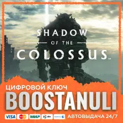 SHADOW OF THE COLOSSUS (PS4/PS5) — на ваш аккаунт PlayStation