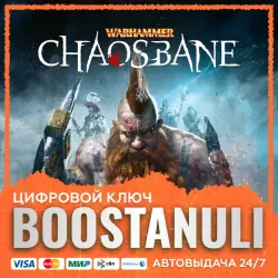 Warhammer: Chaosbane (PS4/PS5) — на ваш аккаунт PlayStation
