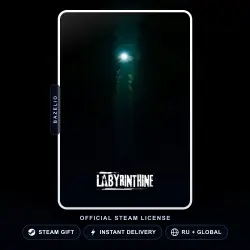 Labyrinthine (Steam Gift) · Russia & worldwide · Auto-delivery 24/7