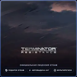 Terminator: Resistance (Steam Gift) · РФ и весь мир · Автодоставка 24/7