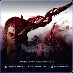 STRANGER OF PARADISE FINAL FANTASY ORIGIN (Steam Gift) · РФ и весь мир