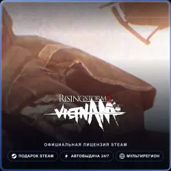 Rising Storm 2: Vietnam (Steam Gift) · РФ и весь мир · Автодоставка 24/7