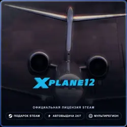 X-Plane 12 (Steam Gift) · РФ и весь мир · Автодоставка 24/7