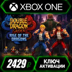 Double Dragon Gaiden: Rise of the Dragons для Xbox (ключ активации)