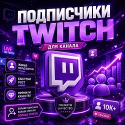 Twitch Subscribers