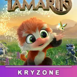 Tamarin — ключ активации Steam