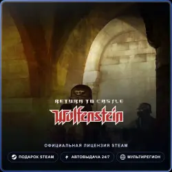 Return to Castle Wolfenstein (Steam Gift) · РФ и весь мир · Автодоставка 24/7